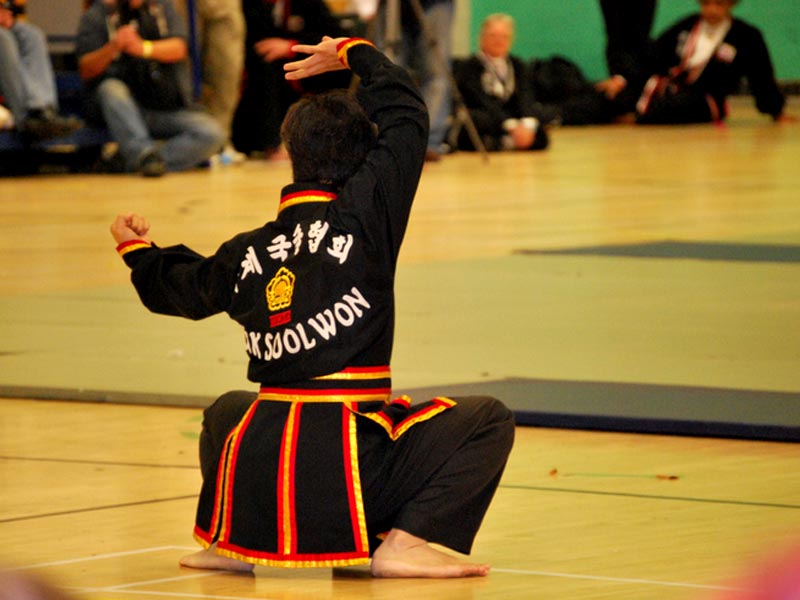 Kuk Sool Won, traditional martial arts.